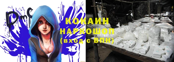 сатива Няндома