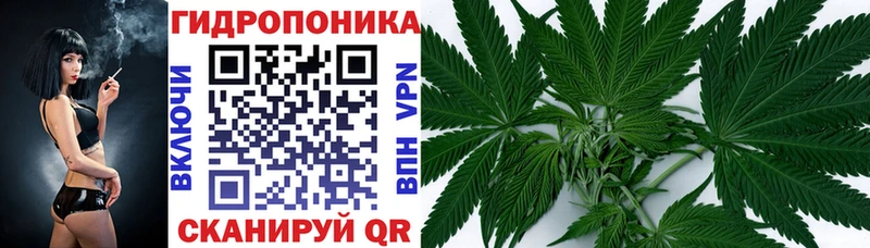 продажа наркотиков  Солигалич  Конопля THC 21% 